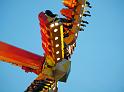 Tag Kirmes 1 P140